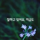 런앤런 이미지