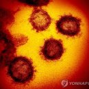 누리온누리약국