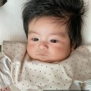 꿈의프리스쿨어린이집 | 20개월 아들과 함께하는 육아휴직 아빠 하와이 일년살기 200일 후기