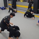 인정합기도 익스트림 이미지