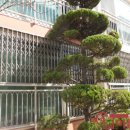 삼환화이트어린이집 이미지