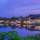 애견취향 이미지