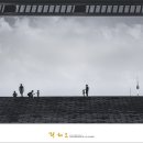 중앙종묘 - 거제시 고현로 88-1 | 중앙종묘