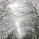 북한강로 이미지