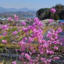 운심농장 네이버블로그