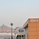 크로바광고자재 | [서울 양재] 양재꽃시장: 황칠나무, 아라리아 사온 후기/ 주차/ 가격/ 플랜테레어 식물 추천 ❤🌿🌴🌱️