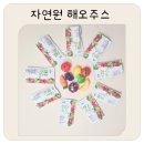 자연원 해오주스 후기 마녀주스로 채소 루틴 시작하기