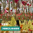 11545-01-52-28 | 가평 실내 가볼만한곳 베고니아새정원 데이트 겨울 놀거리