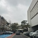 PAWS N PAWS(포즈앤포즈) | 강남 결혼식 셀럽앤어셈 하객 후기