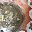 명가오리천국 이미지