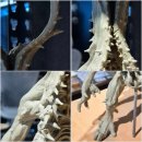 퀘스트보드게임즈 주식회사 | '시프트업' 방문기와 '김형태' 대표와의 비공식 인터뷰