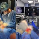 레이동물병원 이미지