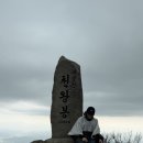 GR(대구광역시 달성군)-하-24 | [대구•비슬산]ㅣ비슬산 참꽃 완벽 요약ㅣ평일 등산 후기 + 투어버스, 주차, 날씨 모든 꿀팁 + 초중급...