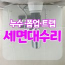 춘천 세면대 수리 후기 이사 전 누수 점검 꼭 하세요!
