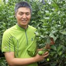 김필환농장 이미지