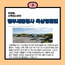 정부세종청사 옥상 정원길 이미지