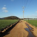 동일리-4 이미지