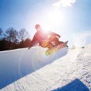 웰리힐리파크 이미지