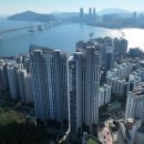 294-2 이미지