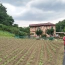 대관령안골황토펜션 이미지