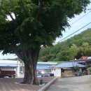 남하심소정 이미지