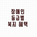 알아야만 하는 장애인 등급별 복지 혜택(경증, 중증) [출처] 알아야만 하는 장애인 등급별 복지 혜택(경증, 중증)|작성자 그린해피 이미지