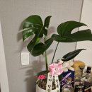 재분농장 이미지