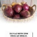 황토골3 이미지