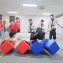 강철태권도체육관 이미지