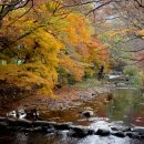 11월7일 전북 고창 선운산 산행안내 이미지