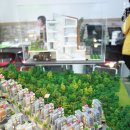 힐링수 - 안산시 상록구 용신로 387 | 힐링수