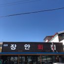 청솔조경농원 | 강릉 출장가서 바다랑 놀고 온( go on) 후기
