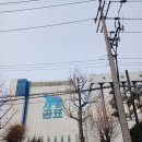 에이원FS | 우리와 사료 제주말, 그리고 곤충 사육 &lt;&lt;feat. 대한사료&gt;&gt;