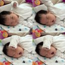 돌봐줄개 | [서초구 산후도우미] 아이미래 산후도우미 프리미엄 이용 솔직후기