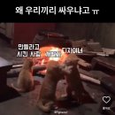 나오커뮤니케이션 이미지