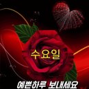 7월 11일 헤드라인뉴스✧ 이미지