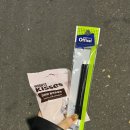 서수김밥 | 🇪🇸 2024 4회차 FLEX 스페인어 시험 후기, 점수