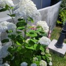 고구마부동산공인중개사사무소 이미지