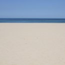 망상제2오토캠핑장 이미지