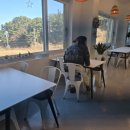 후포리 대게 맛나 이미지