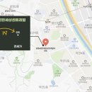 용의꼬리 이미지