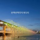 하나푸르니 반포 | 반포대교 달빛무지개분수 시간 잠수교 야경 데이트 후기