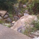 정선공인중개사사무소 이미지