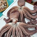 매일농수산 - 서귀포시 금백조로 76 | 매일농수산