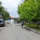 주산산림욕장 Daum카페