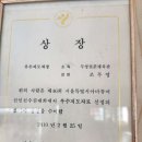 무영권투 이미지