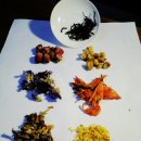 양감약국 이미지