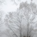 백마산주유소 이미지