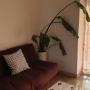 학하민박 이미지