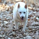 곰순이네 - 보령시 해수욕장9길 2-40 | 곰순이네